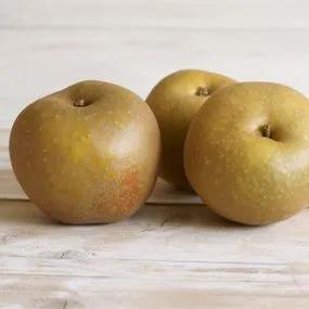 Apple Tree - Egremont Russet (Malus domestica 'Egremont Russet') 3